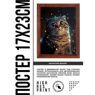 POSV-0369 Постер в рамке 17x23см Удивлённый кот