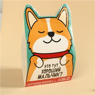 Жевательная резинка «Кто тут хороший мальчик?», вкус: тутти-фрутти, 50 г.