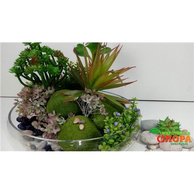 Сукуленты с моховыми кочками