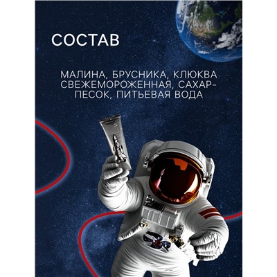 Космическое питание «Морс из лесных ягод», в тюбике, 115 г