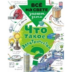 Владимир Малов: Что такое электричество?