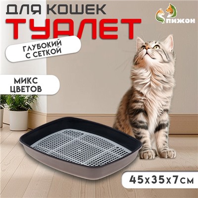 Туалет «Айша» S с сеткой, 45 х 35 х 7 см, микс цветов
