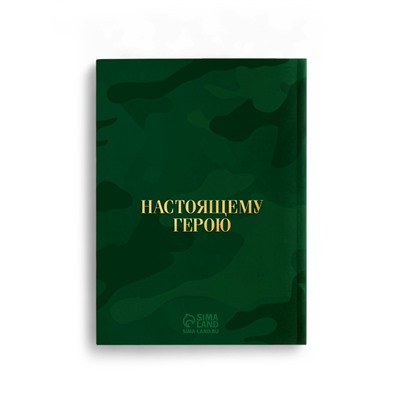 Подарочный набор «С днём защитника отечества. 23 февраля», ежедневник А6, блок с липким слоем, ручка