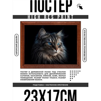 POSG-0319 Постер в рамке 23x17см Кот