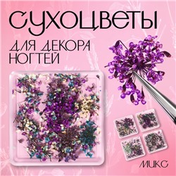 Сухоцветы для декора «Цветочная поляна», в футляре, МИКС