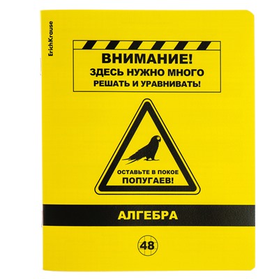 Тетрадь предметная АЛГЕБРА, 48 листов в клетку, ErichKrause Be Informed, пластиковая обложка, шелкография, блок офсет 100% белизна, инфо-блок