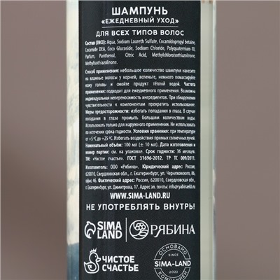 Подарочный набор новогодний ЧИСТОЕ СЧАСТЬЕ «Сильному духом»: гель для душа и шампунь для волос, 2х100 мл