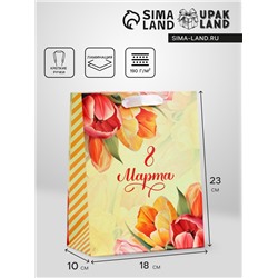 Пакет подарочный вертикальный «Яркий момент», MS 18×23×10 см
