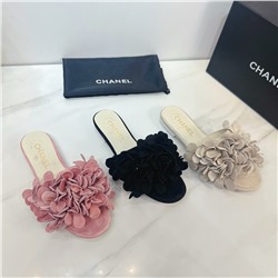 Шлепки на пл подошве Chan новая кол ‼️