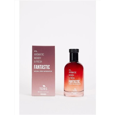 TUDORS Bronze Fantastic Grapefruit Специальная серия Стойкие мужские духи 100 мл