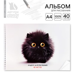Альбом для рисования 40 листов на пружине А4 «Черный пушистик»