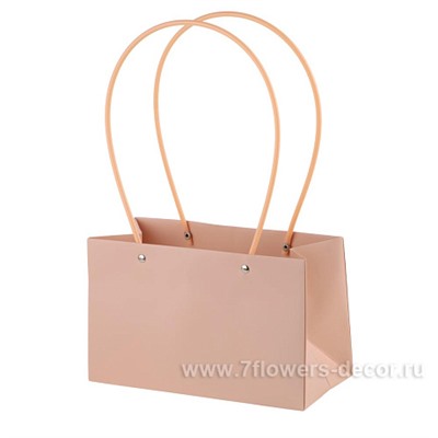Набор сумок с ламинацией (картон), 22x10xH13 см (10шт)