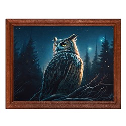 POSG-0295 Постер в рамке 23x17см Сова