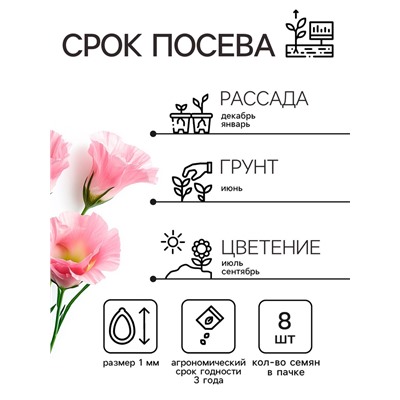Семена цветов Эустома "Супер Мэджик" F1 смесь, О, DARIT  8 шт