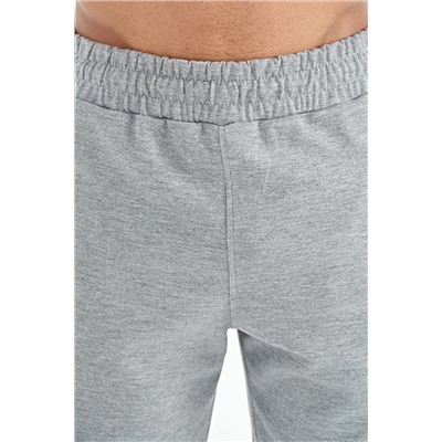 Мужские шорты Albie Grey Melange Standard Fit — 81241 A13ER-81241