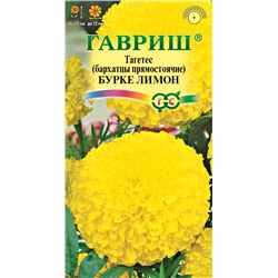 Бархатцы пр. Бурке Лимон (Тагетес) 0,3 г (цена за 2 шт)