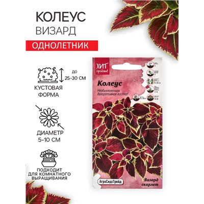 Семена Цветов Колеус "Визард", 10 шт