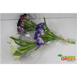Связка Ирис японский (DG1269/P)