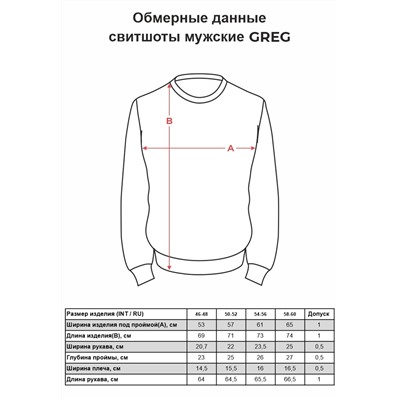 Свитшот мужской GREG aus Russland G121-Yacht_R (бирюза)