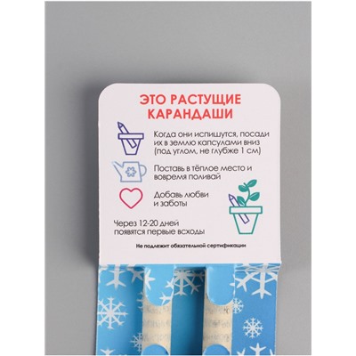 Набор для выращивания, карандаши подарочные новогодние «Голубая Ель + Сосна», mini, простые чернографитные, 2 шт.