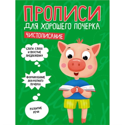 Прописи "ДЛЯ ХОРОШЕГО ПОЧЕРКА", АССОРТИ, А4, 195х276 мм, 16 стр., ПП