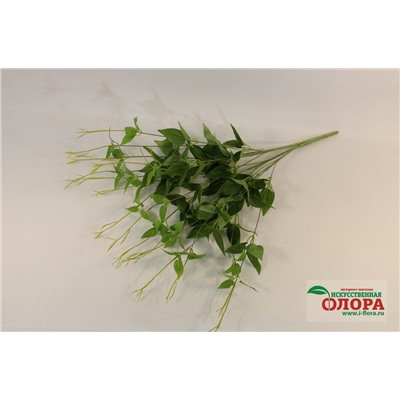 Букет зелени Зебрина