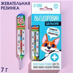 Жевательная резинка «Выздоровин» в градуснике, 7 г.