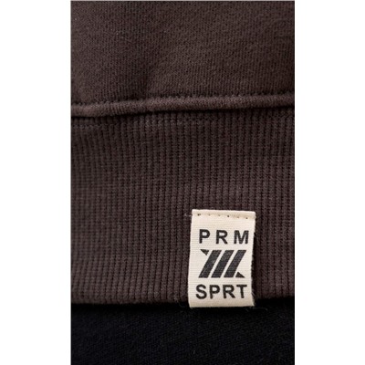 Свитшот P421-0503 d.grey
