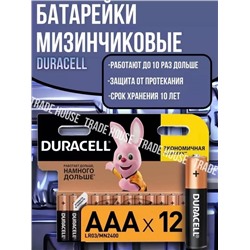 Батарейки Duracell Basic мизинчиковые АА- ААA LR03 (12 штук в упаковке) 22.02.