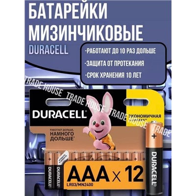 Батарейки Duracell Basic мизинчиковые АА- ААA LR03 (12 штук в упаковке) 22.02.