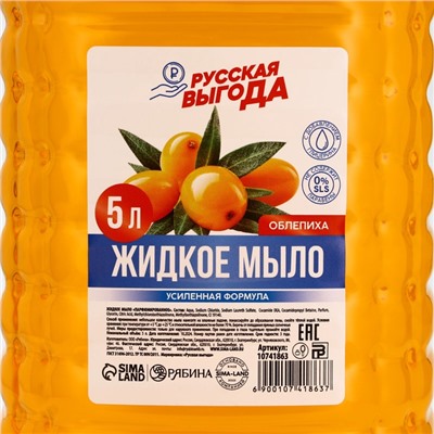 Жидкое мыло для рук РУССКАЯ ВЫГОДА, 5 л, аромат облепихи