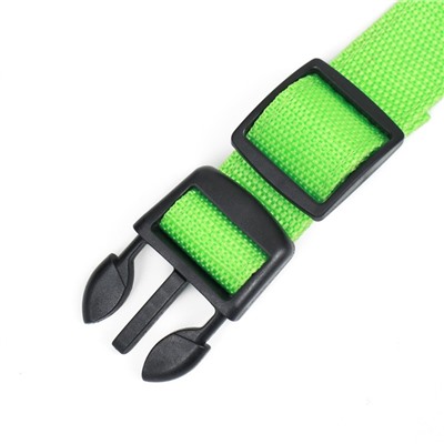 Ошейник с подсветкой, зарядка от USB, размер S, ОШ 34-41 см, 3 режима, зелёный