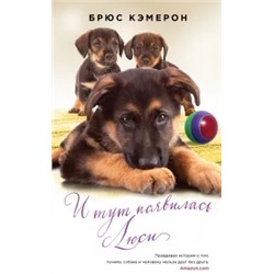 Брюс Кэмерон: И тут появилась Люси