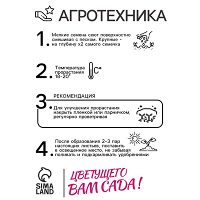 Семена цветов Пампасная трава "Белый шлейф", 0,1 гр
