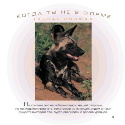 Когда ты не в форме... Гадкая книжка Эндрю Дэвис