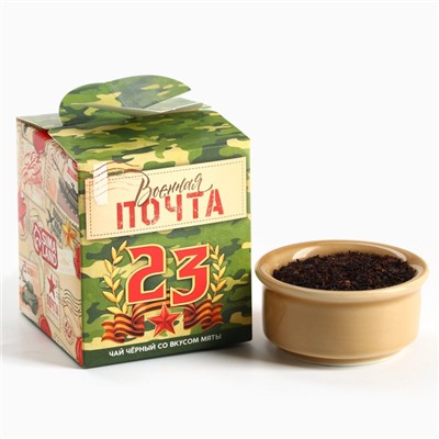 Чай подарочный «Военная почта. 23 февраля», вкус: мята, 50 г.