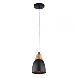 Нарушена упаковка.    Подвесной светильник Arte Lamp Eurica A4248SP-1BK