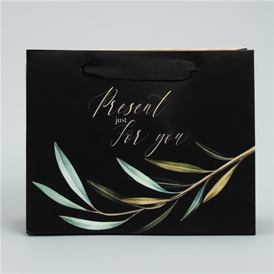 Пакет подарочный ламинированный горизонтальный, упаковка, «Present just for you», 22 х 17.5 х 8 см