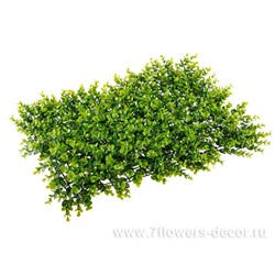 Искусственная панель "Самшит", 40x60 см
