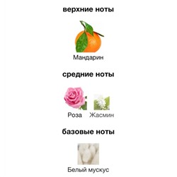 парфюм 01.01.