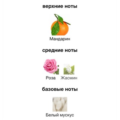 парфюм 01.01.
