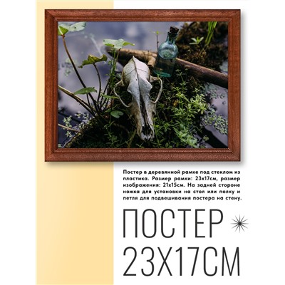 POSG-0077 Постер в рамке 23x17см Череп на болоте