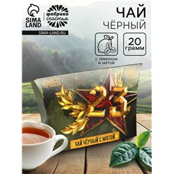 Чай подарочный «23 февраля», вкус: мята, 20 г.
