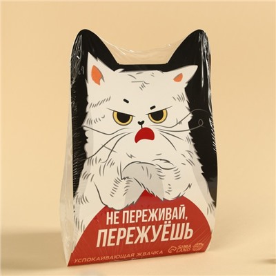 Жевательная резинка «Пережуешь», вкус: тутти-фрутти, 50 г.