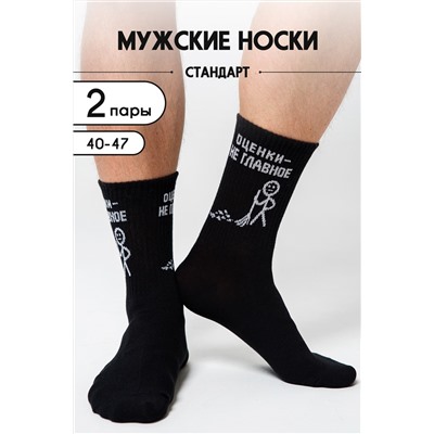 Носки мужские Оценки не главное (набор 2 пары)