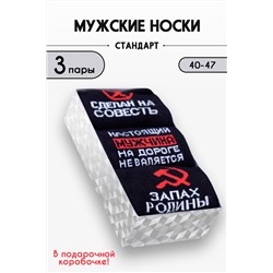 Носки мужские Родина (набор 3 пары)