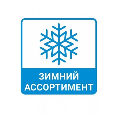 CLEVER CLE Носки жен.Д2342П плюш хл+эл