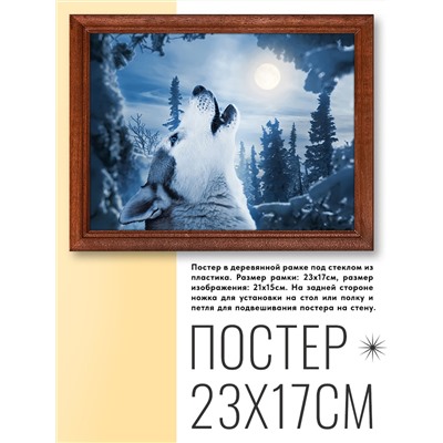 POSG-0055 Постер в рамке 23x17см Волк