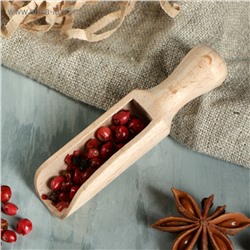 Совочек для специй "Классический", 7 х 2 см, массив бука