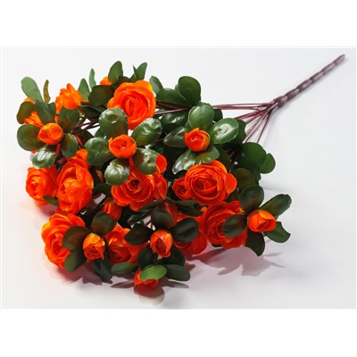 Ранункулюс 36 цветков